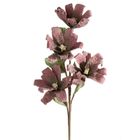 Eurofirany, kwiat flore, o 20-70 cm, ciemnofioletowy