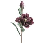 Eurofirany, kwiat flore, o 20-70 cm, ciemnofioletowy