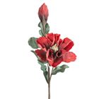 Eurofirany, kwiat flore, o 20-70 cm, czerwony