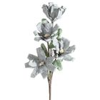 Eurofirany, kwiat flore, o 20-70 cm, popielaty