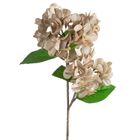 Eurofirany, kwiat flore, o 25-50 cm, ciemnobeżowy