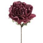 Eurofirany, kwiat flore, o 25-70 cm, ciemnofioletowy