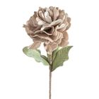 Eurofirany, kwiat flore, o 25-75 cm, ciemnobeżowy