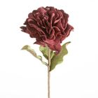 Eurofirany, kwiat flore, o 25-75 cm, ciemnofioletowy