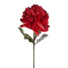 Eurofirany, kwiat flore, o 25-75 cm, czerwony