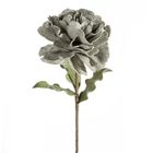 Eurofirany, kwiat flore, o 25-75 cm, popielaty