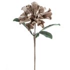 Eurofirany, kwiat flore, o 30-75 cm, ciemnobeżowy