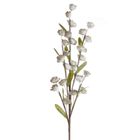 Eurofirany, kwiat flore, o 4-90 cm, ciemnobrązowy