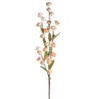 Eurofirany, kwiat flore, o 4-90 cm, jasnobrązowy