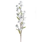 Eurofirany, kwiat flore, o 4-90 cm, popielaty