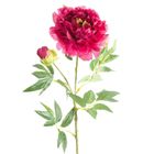 Eurofirany, kwiat natu, 30-70 cm, amarantowy