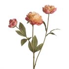 Eurofirany, kwiat Natu, 52 cm, ciemnoróżowy