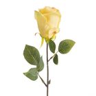 Eurofirany, kwiat Natu, 53 cm, żółty
