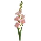 Eurofirany, kwiat Natu, 85 cm, jasnoróżowy