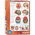 Eurographics, The Brain, puzzle, 1000 elementów