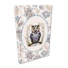 EV-Corp, Soft Touch, notes, A5, kratka, Sowa