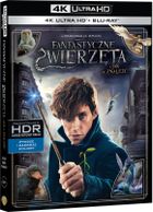 Fantastyczne zwierzęta i jak je znaleźć. 4K Ultra HD. Blu-Ray