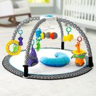 Fisher-Price, Sensory Gym, mata edukacyjna dla niemowlaka