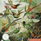 Flame Tree, Kolibry V&A, puzzle, 1000 elementów