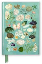 Flame Tree, notatnik, A5, linia, Muszle Katherine Quinn