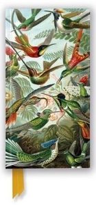 Flame Tree, notatnik, linia, Kolibry, Ernst Haeckel, 1 szt.