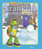 Franklin nocuje u misia. Franklin i przyjaciele