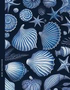 Fresh, notatnik, 64 kartki, kratka, muszle, 1 szt.