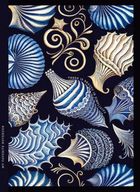 Fresh, notatnik ozdobny, 143-200, 64 kartek, kratka, muszle, 1 szt.