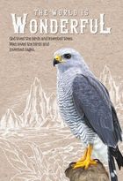 Fresh, notatnik ozdobny, 143-210, 64 kartki, kratka, Sokół, 1 szt.