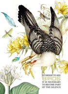 Fresh, notatnik ozdobny, 80 kartek, kratka, Ptak, 1 szt.