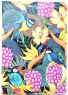 Fresh, notatnik ozdobny, A5, 80 kartek, kratka, Ptaszki, 1 szt.