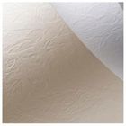 Galeria Papieru, karton ozdobny A4, biały, skóra, 230g, 20 arkuszy