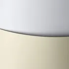 Galeria Papieru, karton ozdobny A4, kremowy, gładki, 250g, 20 arkuszy