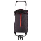 Gimi, Twin New, wózek na zakupy, 4 kółka, czarny, 50l