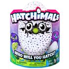 Hatchimals, Jajko Smoczydło, zabawka interaktywna