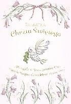 Henry, karnet A5 z kopertą, chrzest, złocony, gołąb dziewczynka