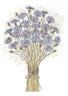 Henry, karnet A5 z kopertą, złocony, Chabry