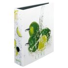 Herlitz, Fresh Fruit, segregator, A4, 8 cm, Limonki