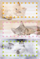 Herma, Kotki, naklejki szkolne