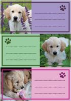 Herma, naklejki szkolne, pieski