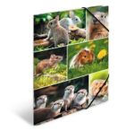 Herma, teczka A4, gumki narożne, gryzonie, 1 szt.