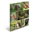 Herma, teczka A4, gumki narożne, leśne zwierzęta, 1 szt.