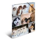 Herma, teczka A4, gumki narożne, psy, 1 szt.