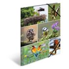 Herma, teczka A4, gumki narożne, ptaki, 1 szt.