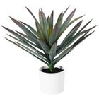 Home Styling Collection, Orno, sztuczna roślina dekoracyjna, agawa w białej doniczce, 40-50 cm