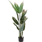 Home Styling Collection, sztuczna roślina doniczkowa, 140 cm