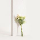 Homla, Camelia, bukiet kwiatów, kamelia biała, 30 cm