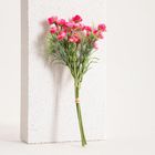 Homla, Camelia, bukiet kwiatów, kamelia różowa, 30 cm