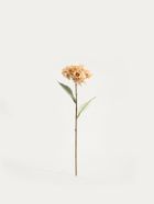 Homla, Fortens, gałązka sztuczna, hortensja beżowa, 52 cm