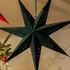 Homla, Galla, gwiazda ażurowa, zamszowa, zielona